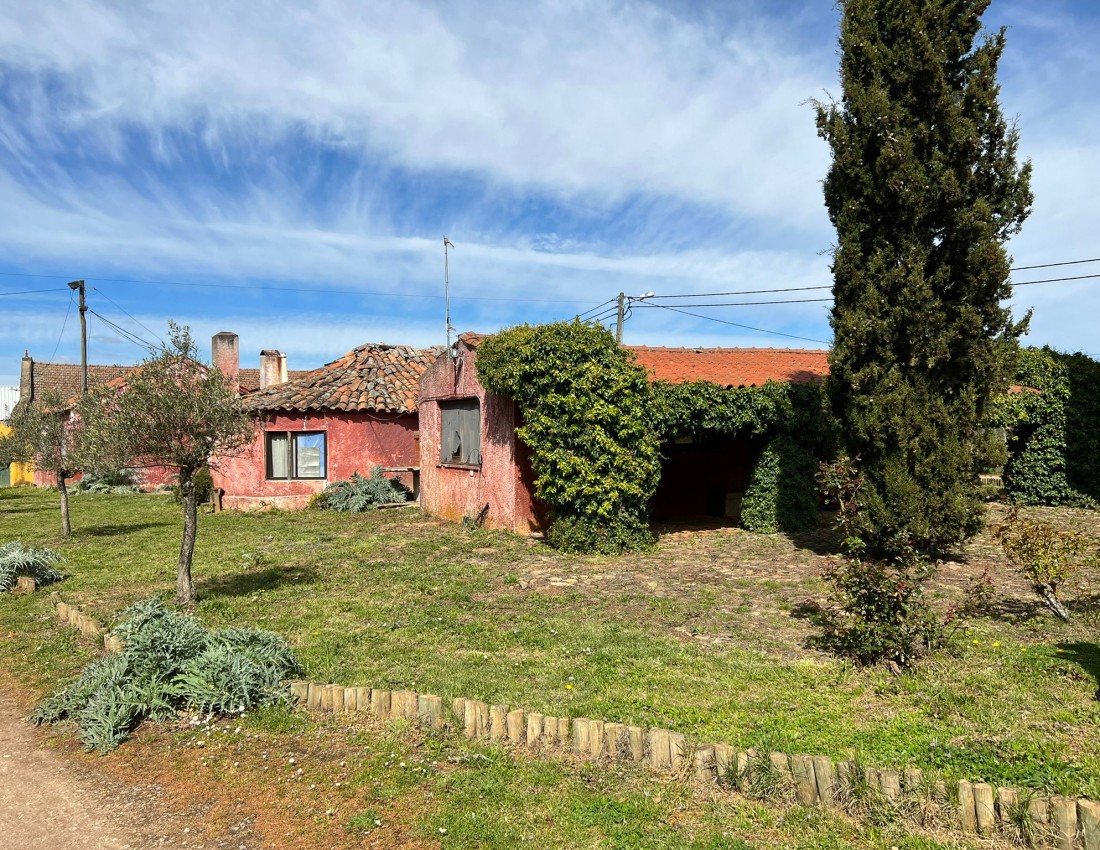 WhatsApp Image 2022-04-14 at 11.22.13